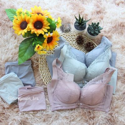 夏日森林 Summer Forest