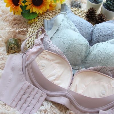 夏日森林 Summer Forest