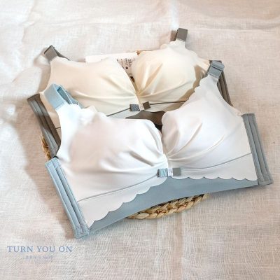 海綿蛋糕 Sponge Cake