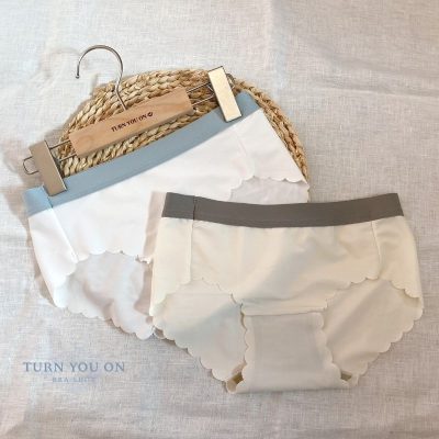 海綿蛋糕 Sponge Cake