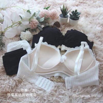 經典紅玫瑰 Red Rose