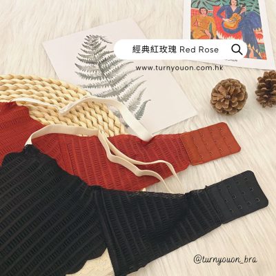 經典紅玫瑰 Red Rose