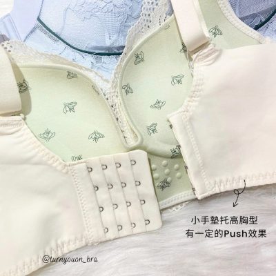 清晨百合 Morning Lily