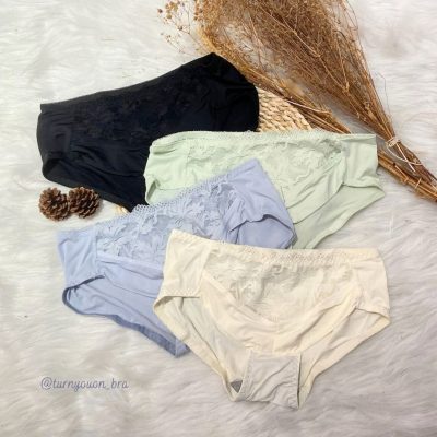 清晨百合 Morning Lily